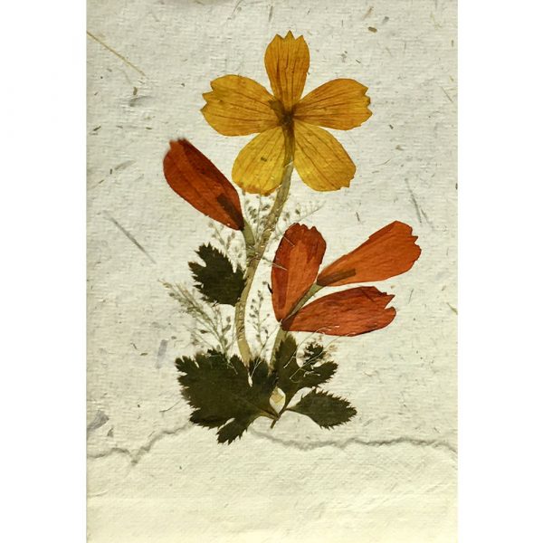 Greeting card made from handmade paper with dried flowers